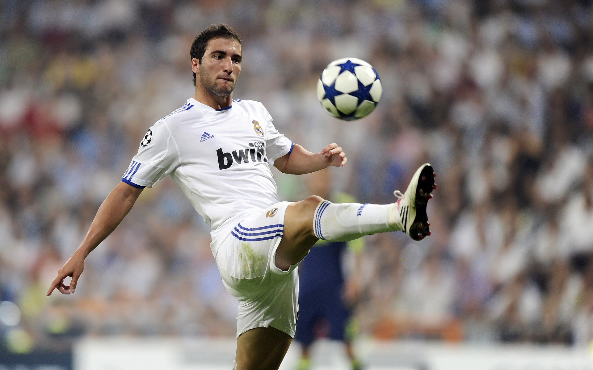 金玟哉的统治艺术，当伊拉克防线在巴西风暴中筑起长城